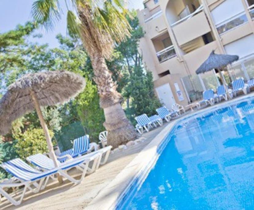 Studio/F1Bis A 50 M De La Plage อาร์เจเลส-ซัวร์-แมร์ ภายนอก รูปภาพ