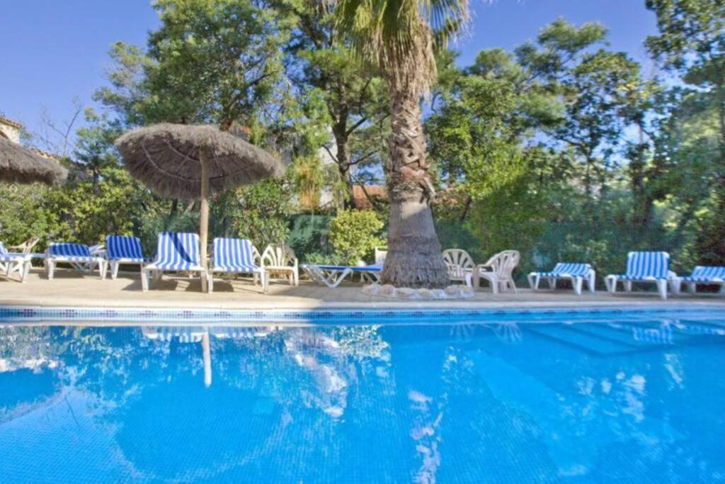 Studio/F1Bis A 50 M De La Plage อาร์เจเลส-ซัวร์-แมร์ ภายนอก รูปภาพ